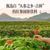 康美暖参饮（红参固体饮料）45克（3克*15袋）/盒 滋补营养冲泡养生茶茶饮【买一送一】 商品缩略图1