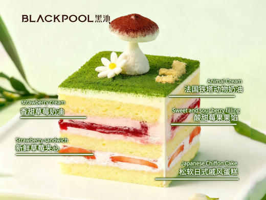 小森林（限深圳配送） | 黑池 商品图5