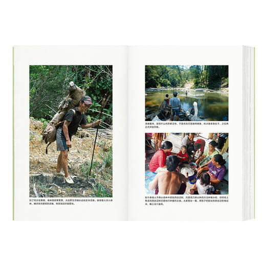 《跟不内耗的森林居民一起生活》呈现一种不内耗的生存可能性（日）奥野克巳 著 商品图1