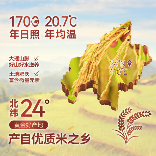 太粮靓虾王香软米5kg 商品图3