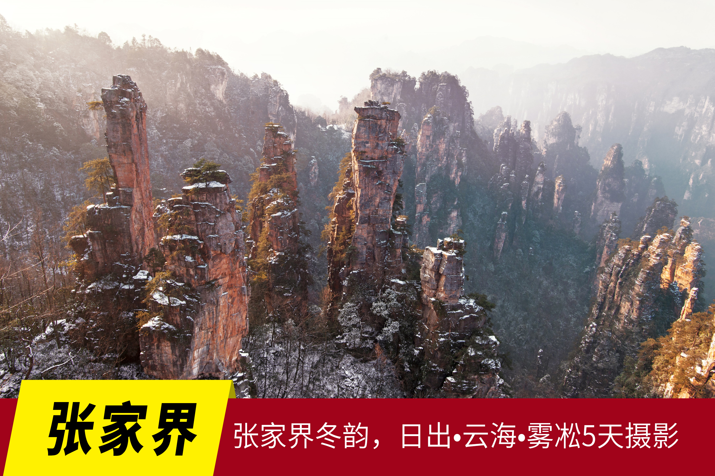 12月24日确定出发【颂雪·冬韵•张家界】日出•云海•雾凇5天摄影