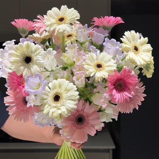 【白日梦想家】浅紫色风铃或粉色风铃1扎约4-5支+白色非洲菊5支+蜜糖粉非洲菊7支/份 商品图0