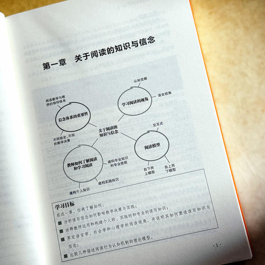 阅读的教与学 第10版 教育治理与领导力丛书 读写教学指南 商品图8