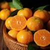 金秋砂糖橘  约500g/盒 商品缩略图1
