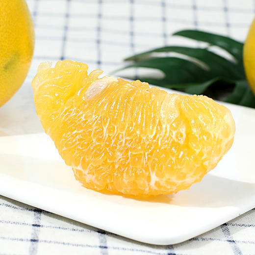 福建黄金葡萄柚 YQ045 商品图1