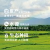 2025年生态种植五常稻花香2号大米(5㎏) 商品缩略图3