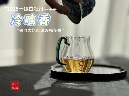 【拍3送1】1个月热销600罐的2025白牡丹《冷噙香》来了，依旧是冷香幽然、冷汤香滑！ 商品图7