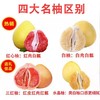 福建四大名柚 三红柚/红心柚/白心柚/黄金柚，四种颜色 一次吃到爽 商品缩略图3