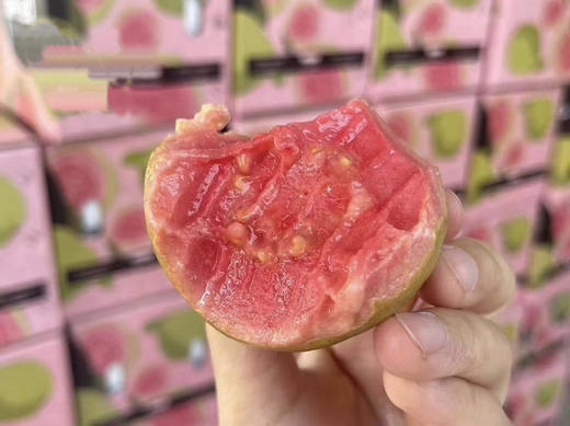 想越过这方寸屏幕 深深品尝你的味道❤
草莓红心芭乐，时刻带给你粉嫩甜心，
柔化在你舌尖上的美味😋 商品图1