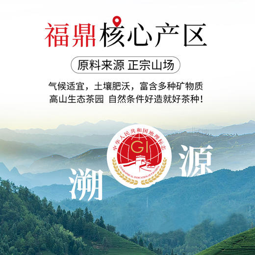 【双10年地标】茶马世家陈皮白茶正宗新会陈皮福鼎2013年贡眉老白茶方片90g 商品图4