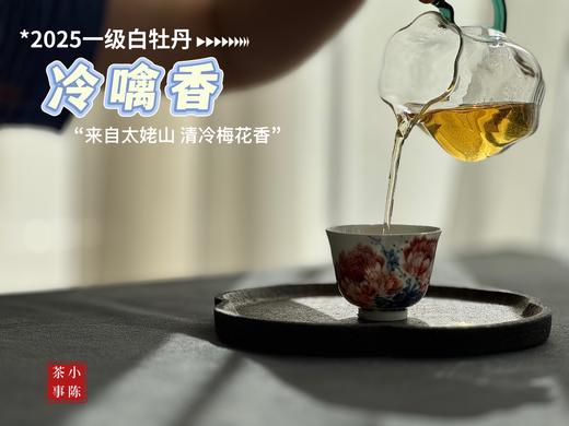 【拍3送1】1个月热销600罐的2025白牡丹《冷噙香》来了，依旧是冷香幽然、冷汤香滑！ 商品图9