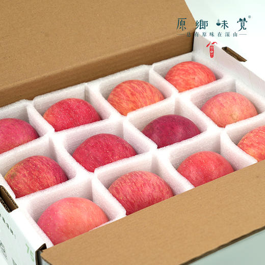 有机阿珍红富士苹果/瑞雪苹果（基地直发-顺丰包邮）| 多种规格， 来自陕西千阳，生产者：张家祯【合作生产，公平贸易】 商品图6