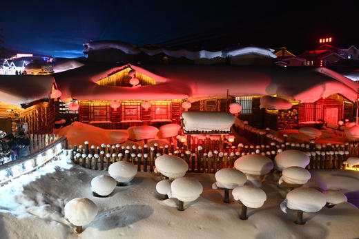 12月24日【东北】延吉、雾凇岛、雪地东北虎、雪乡、横道河子童话小镇7天摄影 商品图10