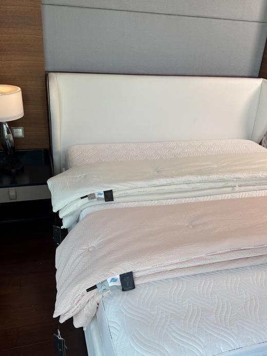 ☀️【CHARLES MILLEN 查尔斯 米伦A类亲肤吸湿保暖被】✨进口英威达防螨纤维填充，😎亲肤柔软舒适，亲测太好睡！ 英国王室御用品牌❗高岛屋、☺️伦敦哈罗德百货双专柜在售 商品图1