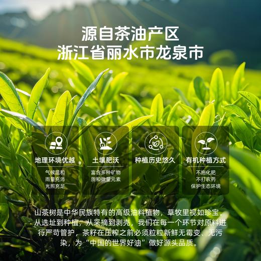 【冷榨一级】草牧里 有机山茶油 500ml*2（礼盒装）4季度新鲜采摘 商品图3