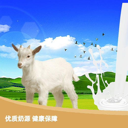 乳都金羊多维高钙羊奶粉 商品图1