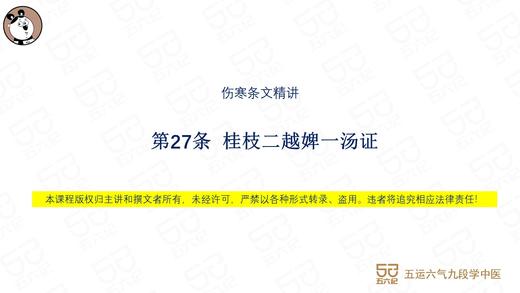 伤寒第27条 桂枝二越婢一汤 商品图0