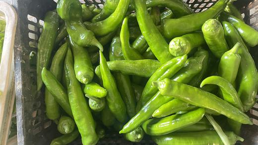 鸿翠园 有机尖椒 商品图2