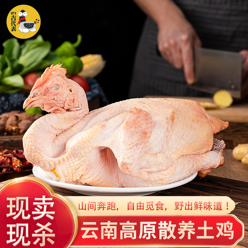 云南高山散养土鸡顺丰包邮新鲜现杀高山散养自由奔跑肉质紧实炖汤炖菌菇营养美味顺丰包邮