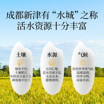 花中花 彝品香米10斤 原彝家香米南方大米 一级香米 长粒米10斤真空包装 /粮油调味 /米 /其他大米 商品图6