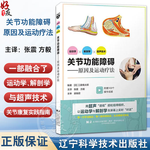 关节功能障碍——原因及运动疗法 张震 方毅 主译 是一部融合运动学 解剖学与超声技术的关节康复实践指南 辽宁科学技术出版社 商品图0