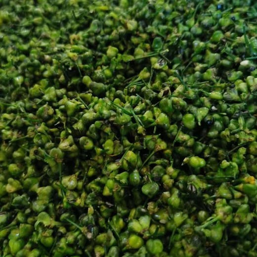 响井曲靖韭菜花 咸菜神品 辛辣咸甜味道适中 商品图5