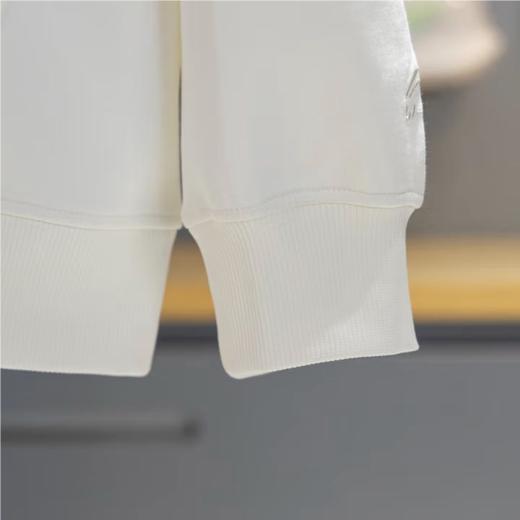 李宁男子2025秋季套头连帽运动上衣健身卫衣AWDV563-1 商品图4