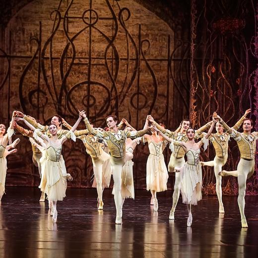 【5折·钜惠】12月22日 广州·《天鹅湖》芭蕾舞剧 |传奇归来 ！芭蕾舞界永恒经典，今冬热烈回归！ 商品图2