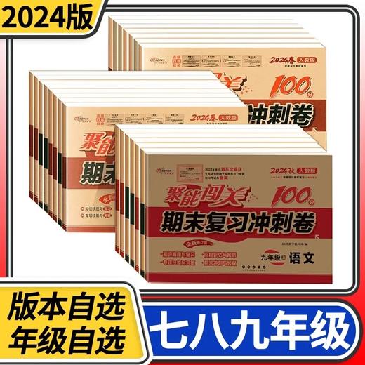 聚能闯关100分期末复习冲刺卷初中九年级语文数学英语政治历史地理 商品图0
