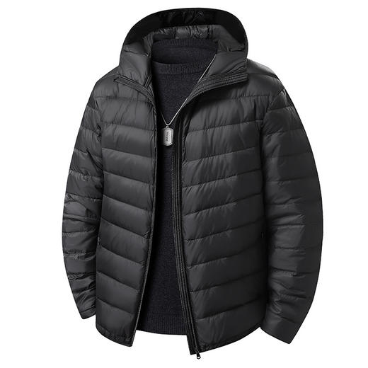 【DX】大依优型大码男装轻薄连帽羽绒服商务休闲百搭宽松短款外套90绒保暖防钻绒 商品图4