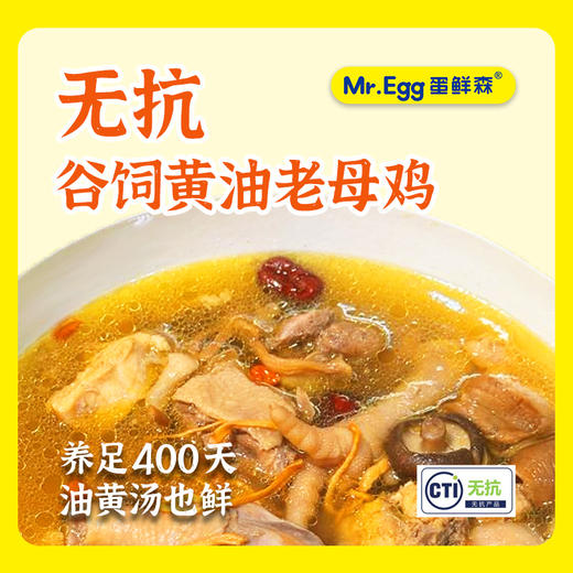 无抗溯源 谷饲徽州童子鸡/黄油老母鸡 新鲜现杀农家土鸡  盐焗烧烤/炖汤滋补 整只发货 商品图3