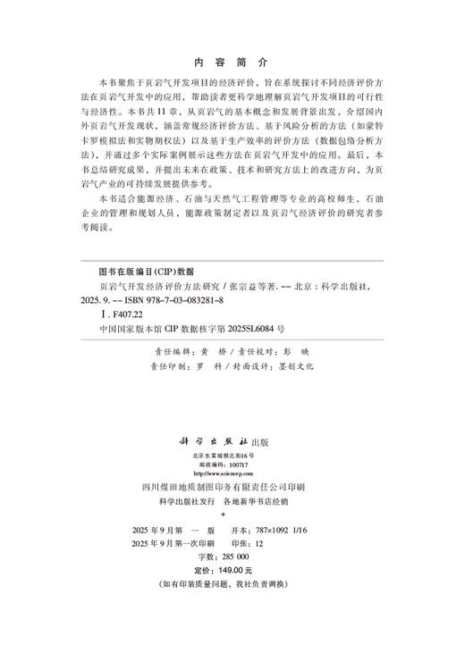 页岩气开发经济评价方法研究 商品图2