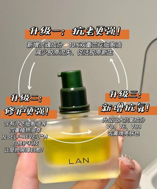 【多妈团购 LAN时光油 起泡油 凤凰油 琉璃油】以油养肤，兰时光油——淡纹紧致~兰气泡油——平衡水油~兰凤凰油——去黄提亮~琉璃油——维稳褪红-乐果村 商品图1