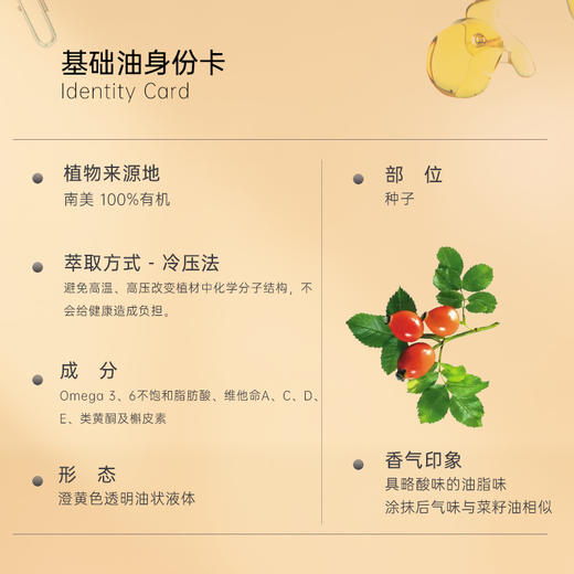 保税直发 CANVAS 卡芬诗  100%有机玫瑰果基础油 100mL 商品图4