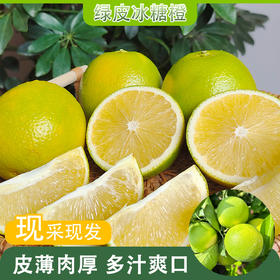 【云南哀牢山冰糖橙】新鲜冰糖橙 当季现摘青皮橙 酸甜爽口 清爽多汁 4种规格任选