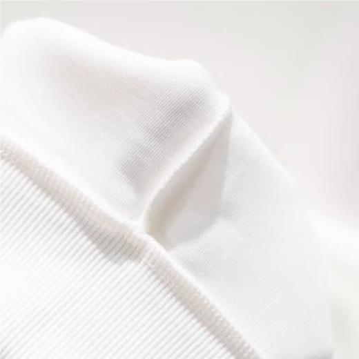 李宁男子2025秋季套头运动上衣健身卫衣AWDV567-5 商品图4