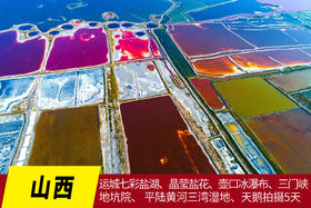 1.10/2.27【颂•雪  山西】运城七彩盐湖、晶莹盐花、壶口冰瀑布、三门峡地坑院、 平陆黄河三湾湿地、天鹅拍摄5天