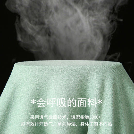 PATERND专柜正品 Metal Vent Tech男士运动磨绒长袖T恤#2828（下单3-7天发货） 商品图3