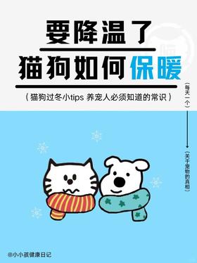 要入冬了 猫狗如何保暖