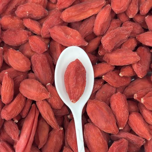 叶开泰宁夏锁鲜 枸杞子 泡水炖汤 100g/瓶 商品图3