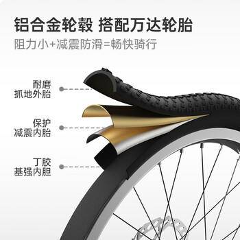 KinderKraftKK儿童自行车4-6-12岁学生单骑行车男女孩生日礼物山地车18寸紫 商品图0