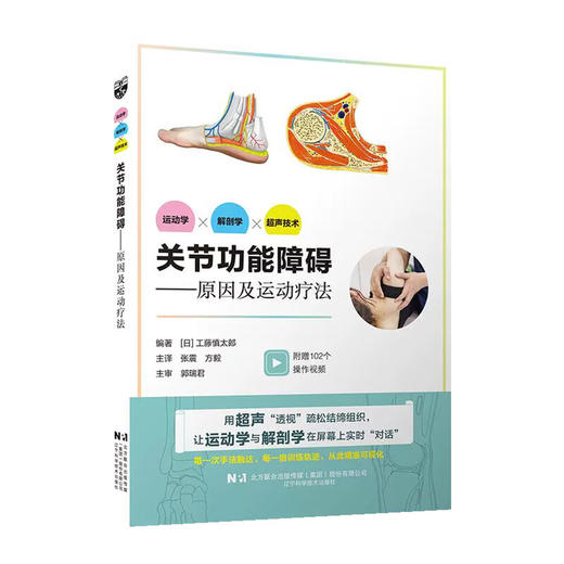 关节功能障碍——原因及运动疗法 张震 方毅 主译 是一部融合运动学 解剖学与超声技术的关节康复实践指南 辽宁科学技术出版社 商品图1