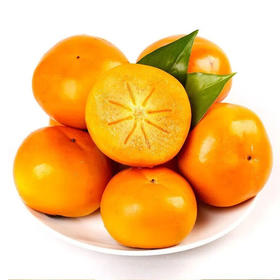 【9.9元5斤】巧克力脆柿子（1500119）