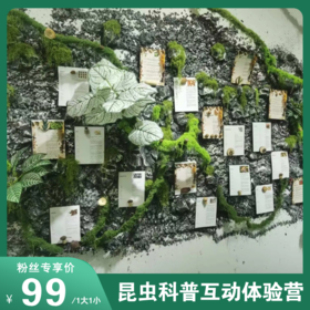 【探索微观奇迹·开启自然之旅】一场可以“动手”的昆虫科普互动体验，触摸 “活教材”，还能把真蝴蝶标本带回家！限定15组