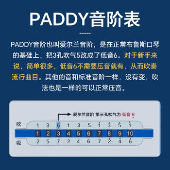 通宝（TOMBO）口琴日本进口音簧7610布鲁斯PADDY调音10孔口琴成人儿童初学通用 商品图1