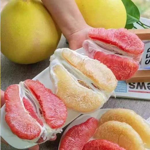 福建四大名柚 三红柚/红心柚/白心柚/黄金柚，四种颜色 一次吃到爽 商品图2