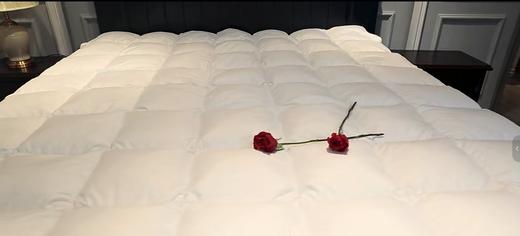 帕南笛高档鹅绒被 商品图2