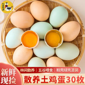 云南高原土鸡蛋 顺丰包邮 高山自由觅食放养看得见的新鲜绿壳粉壳混装30枚