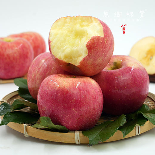 有机阿珍红富士苹果/瑞雪苹果（基地直发-顺丰包邮）| 多种规格， 来自陕西千阳，生产者：张家祯【合作生产，公平贸易】 商品图1