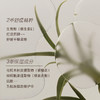 添妃温润净澈焕肤沐浴油 商品缩略图1